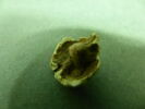 bijou, image 2/2