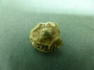 bijou, image 1/2
