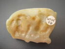 cachet, image 3/4