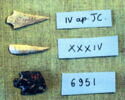 lame, image 3/3