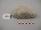 statue ; jambe ; fragment, image 1/2