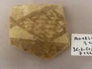 vase, image 1/2