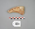 vase ; fragment, image 1/2