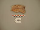 vase ; fragment, image 2/2