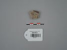 vase ; fragment, image 1/2