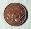 Médaille : Prix du comité scientifique du Ministère des domaines de l’Etat, non daté., image 2/2