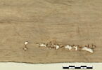 tissu ; linceul, image 2/4