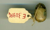 scarabée, image 2/2