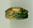 scarabée détaillé, image 3/3