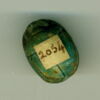 scarabée détaillé, image 2/2