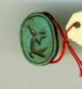 scarabée détaillé, image 1/2