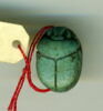 scarabée détaillé, image 2/2