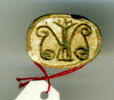 scarabée, image 1/2