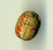 scarabée détaillé, image 2/2