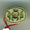 scarabée détaillé, image 1/3