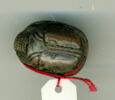 scarabée détaillé, image 2/2
