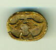 scarabée, image 1/2