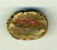 scarabée, image 2/2