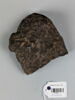 mortier à oreilles, image 3/4