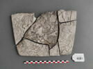 Moulage des fragments de la Palette aux Vautours du British Museum, image 1/2