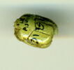 scarabée détaillé, image 2/2