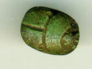 scarabée détaillé, image 2/3