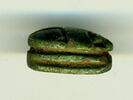 scarabée détaillé, image 3/3