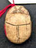 scarabée détaillé, image 2/2