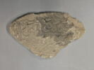 indéterminé, image 1/2