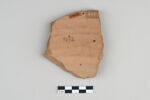 ostracon, image 2/3