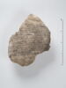 ostracon, image 1/2