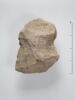 ostracon, image 2/2