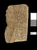 ostracon, image 2/2