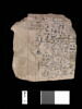 ostracon, image 3/3