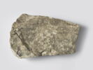 ostracon, image 1/2
