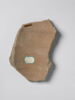 ostracon, image 2/2