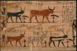 papyrus funéraire, image 3/4