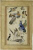 Dix oiseaux (page d'album), image 3/3