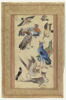 Dix oiseaux (page d'album), image 2/3