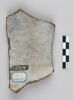 ostracon, image 2/2