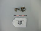 bijou, image 1/2
