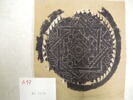 orbiculus ; fragment, image 2/2