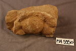 fragment indéterminé, image 1/2