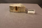 fragment indéterminé, image 2/2