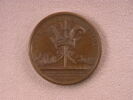 La bataille navale de Carthagène, image 1/2