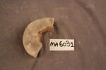 fragment, image 1/2