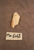 fragment, image 2/2