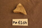 fragment, image 1/2
