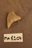 fragment, image 2/2