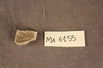 fragment, image 1/2